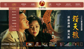 百年中視文化傳播網(wǎng)站
